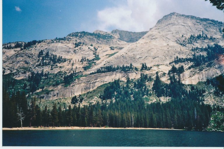 Lake View, All Rights Reserved Amanda Burns 2013