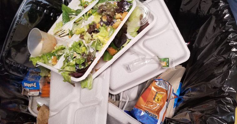 Practicum Experience Paper 2